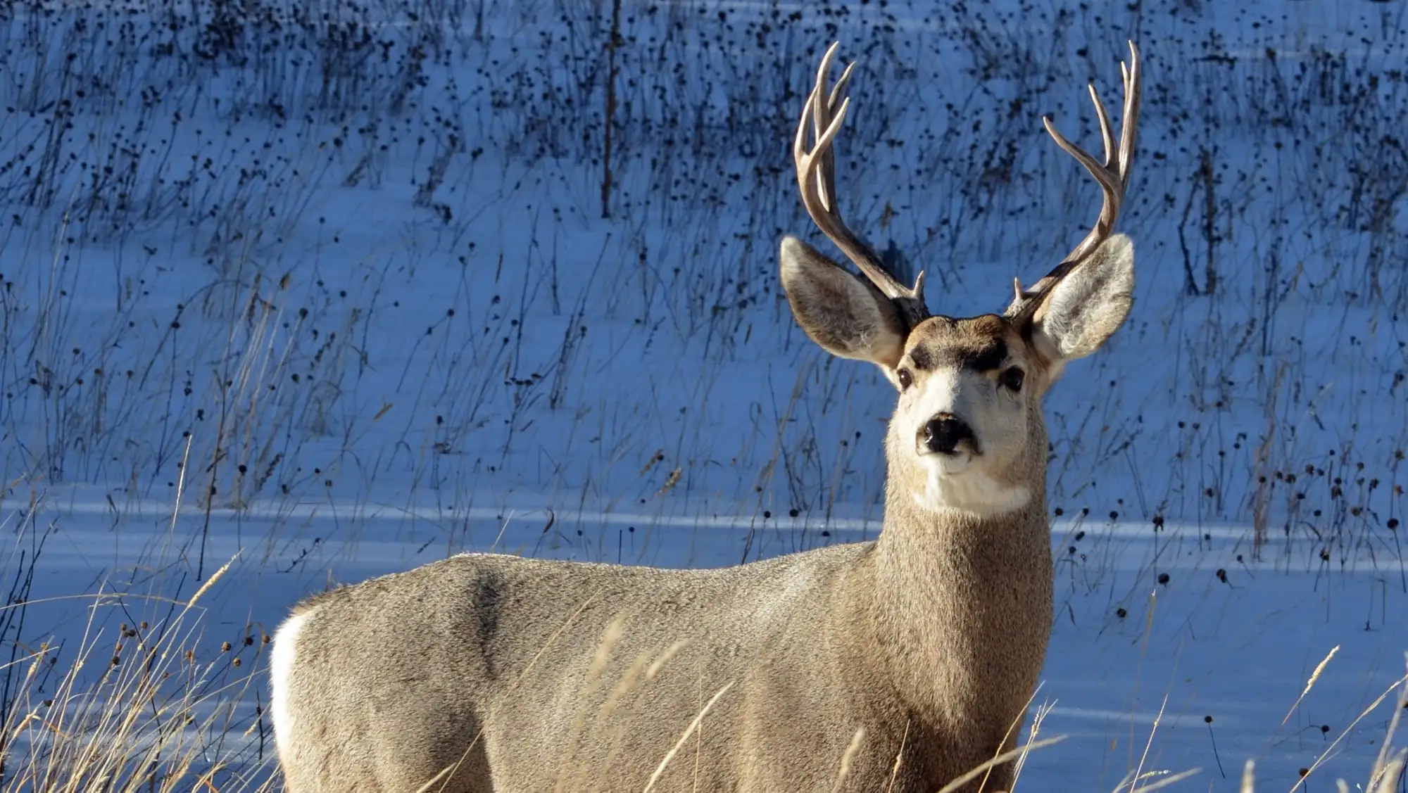 steve-adams-jRFE0TtLgq8-unsplash-scaled-e1693420739872